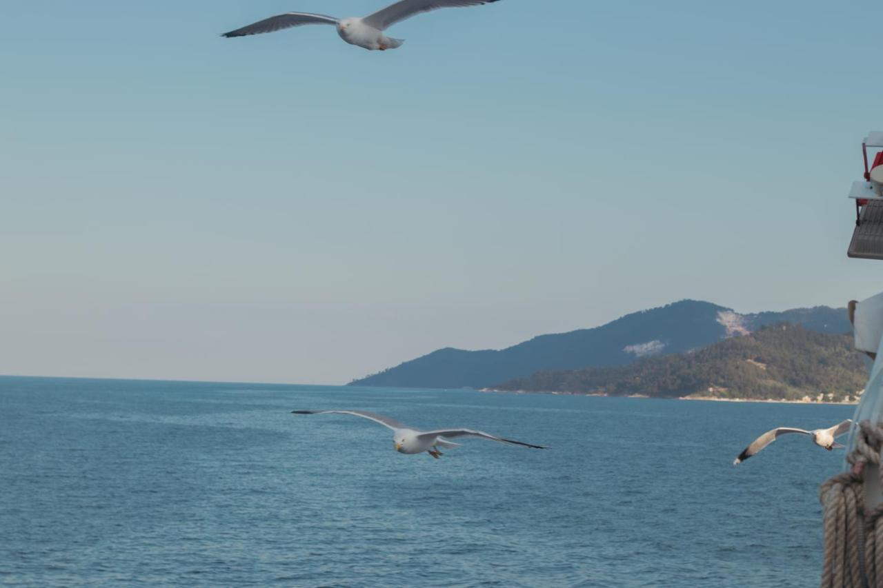 Amaya Pine Studio Panagia  Dış mekan fotoğraf