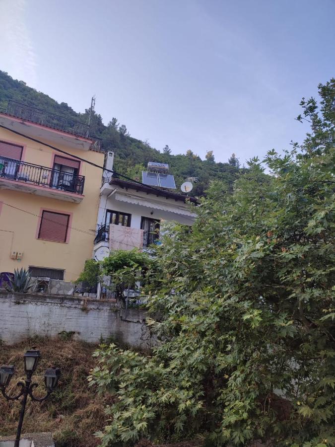 Amaya Pine Studio Panagia  Dış mekan fotoğraf