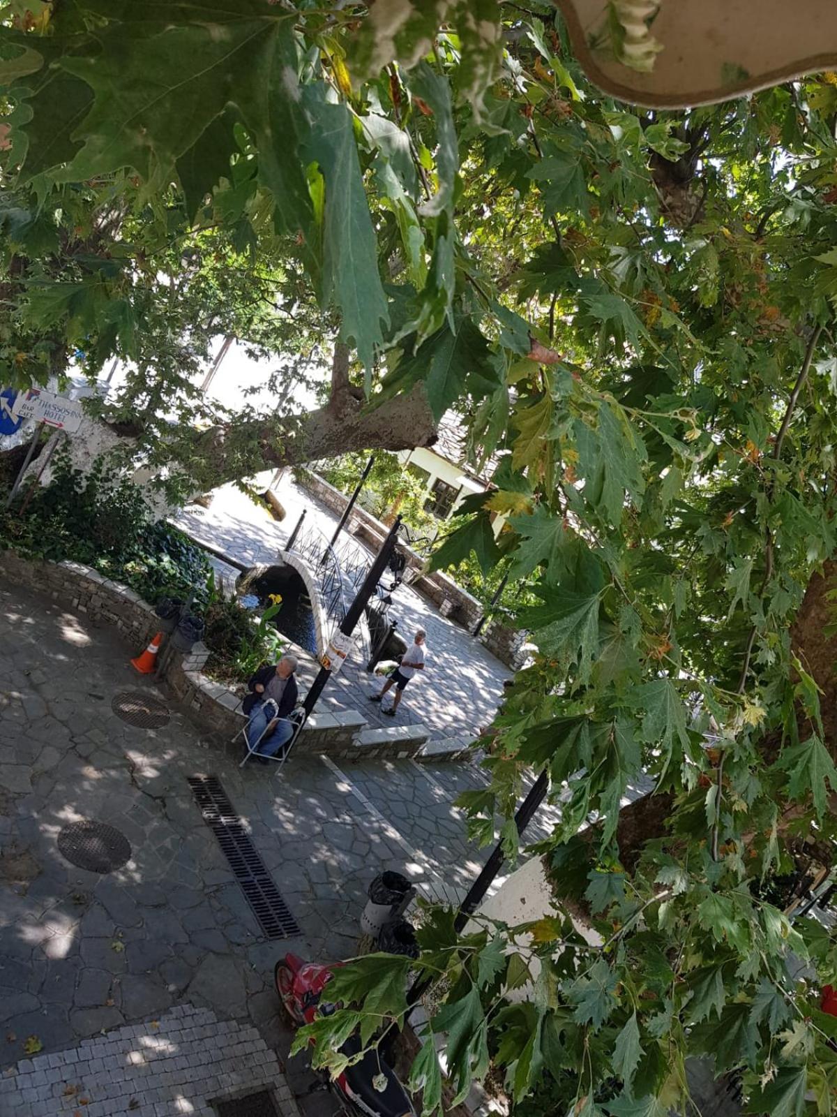 Amaya Pine Studio Panagia  Dış mekan fotoğraf