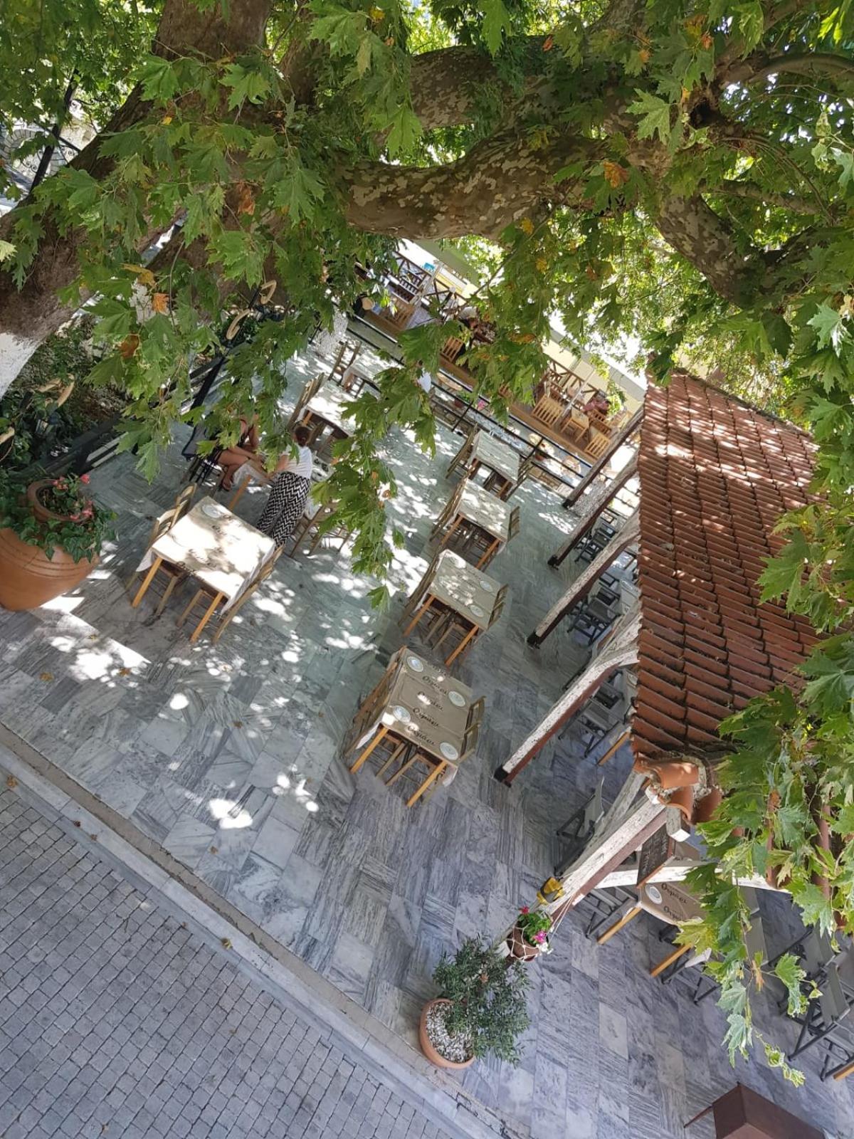 Amaya Pine Studio Panagia  Dış mekan fotoğraf