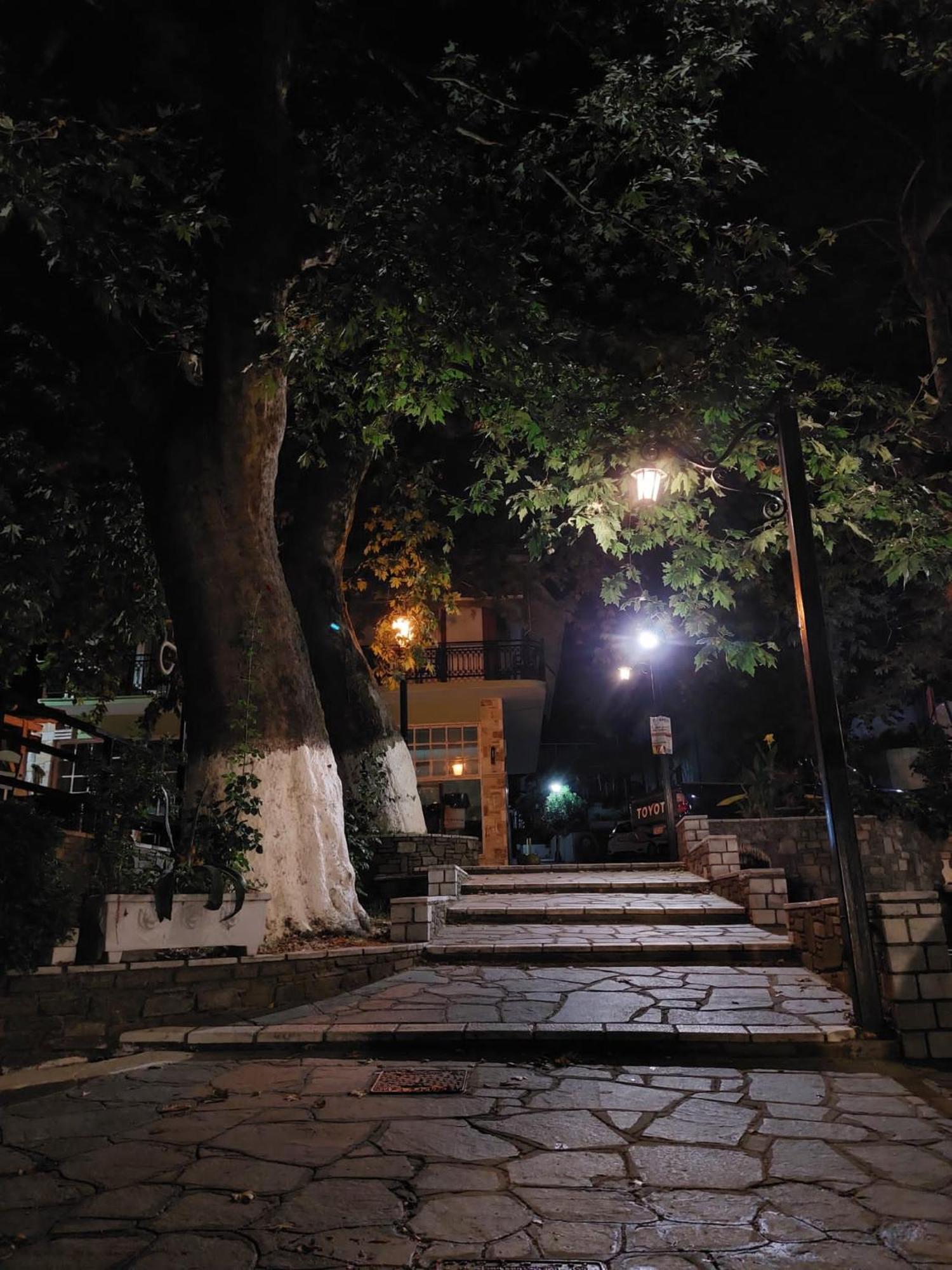 Amaya Pine Studio Panagia  Dış mekan fotoğraf